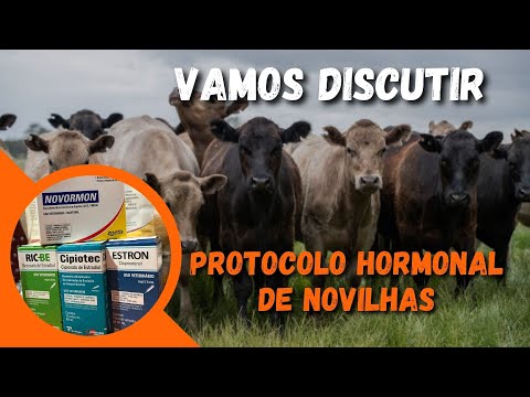 #17 PROTOCOLO HORMONAL DE NOVILHAS