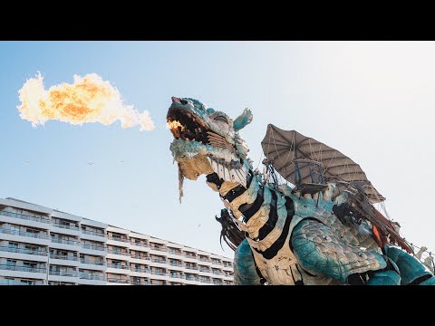 Visit Calais with DFDS and our Partners | DFDS