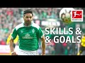 Claudio Pizarro - Magical Skills & Goals
