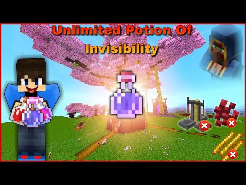 GamerD89 - Unlimited Free Invisibile Potions, Without Brewing Stande // Minecraft Java And Bedrock