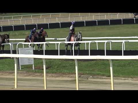 PLAMEN  -  ARREST ME RED 1/2