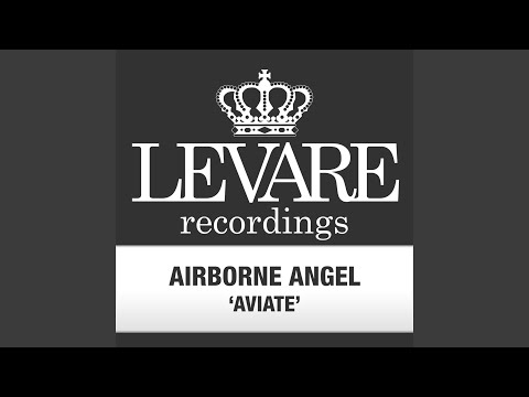 Aviate (Airborne Angel's Brake Force Remix)