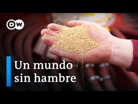 , title : 'Comida para todos - El futuro de la alimentación | DW Documental'