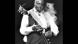 Albert King- Don't Let Me Be Lonely.wmv