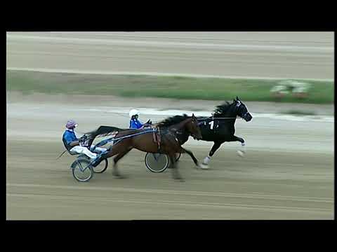 Napoli Trotto 17/09/2021 - 2ª prova di qualifica