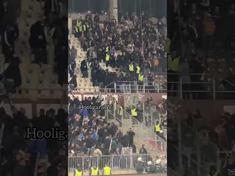 St. Pauli - Schalke 04. 23.09.2023