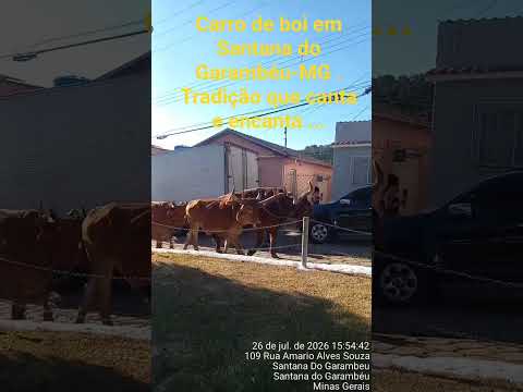 Carro de boi em Santana do Garambéu-MG.