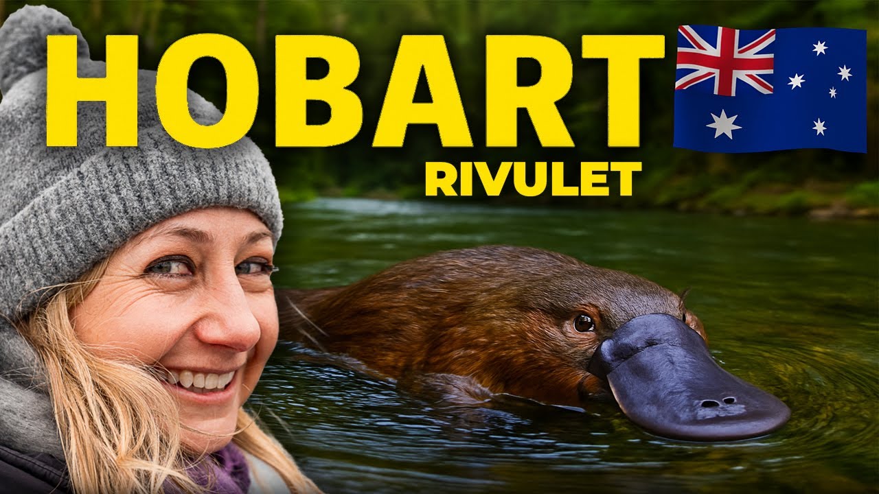 Join travelers as they explore Hobart Rivulet.