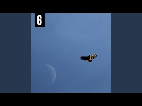 Video thumbnail for DragonFly