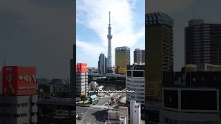 We found the best hotel in Tokyo! Affordable, in a great area + has an Onsen! #shorts #tokyotravel