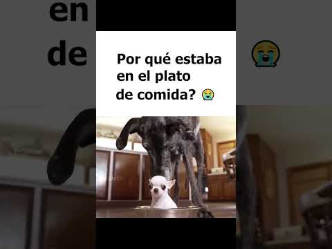 Mi primer doblaje sin dinero para el pasaje #humor