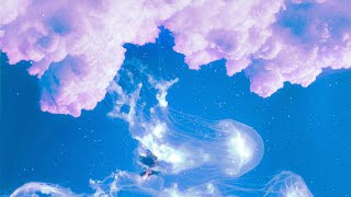 Nathan Kawanishi - Surrealism [Official Visualizer]