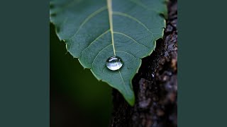 Download lagu Terus melangkah mp3