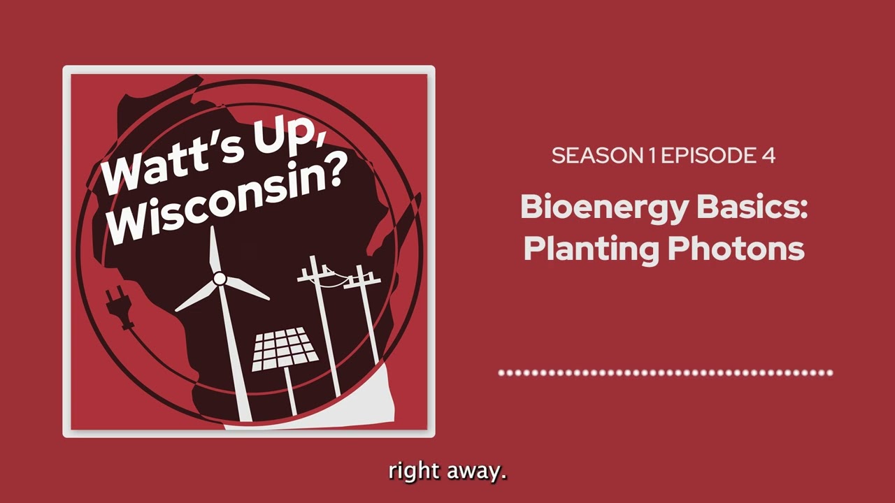Bioenergy Basics: Planting Photons | Watt's Up, Wisconsin? Podcast | S1 Ep. 4