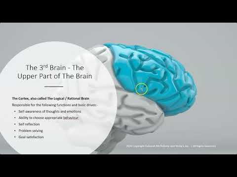 Understanding human emotions