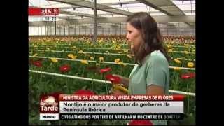 preview picture of video 'Ministra da Agricultura visita empresas de produtores de Flores no Montijo'