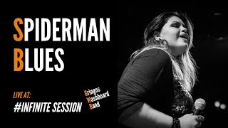 Gringos Washboard Band -  Spiderman Blues (Bessie smith)