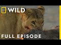 Savage Kingdom: A New Dynasty (Full Episode) | National Geographic