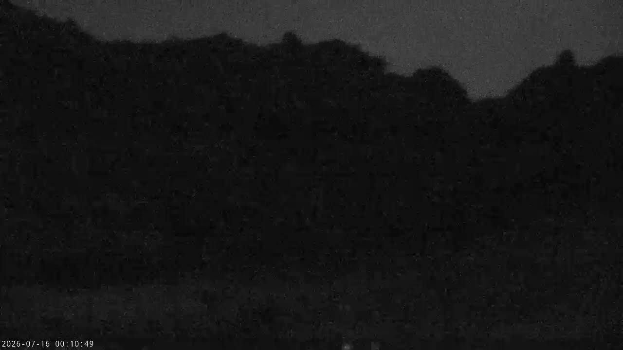 Live webcam view of White Stork Sanctuary Cam