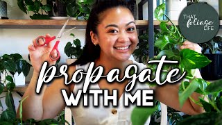 Propagate With Me (growing houseplants for free!)
