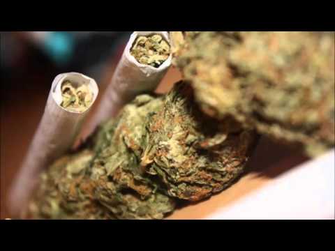 G.E.B.U.S , Gość , Szpaq - Legalize