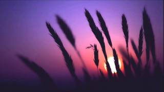 TANGERINE DREAM - LIVE IN BUDAPEST 2012.