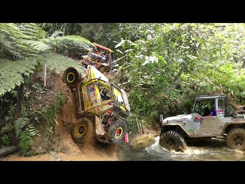 BORNEO SAFARI 2019 - By; K'NetH De CrockeR (SS5 - Part4) (Part25)