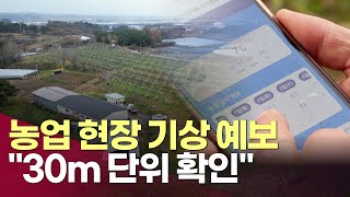 농업 현장 기상 예보 30m 단위로 확인한다ㅣ#헬로tv뉴스