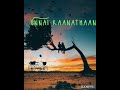 Kadhal Neethana Kadhal Neethana Beautiful Melody What S App Status Ilayaraja Hits