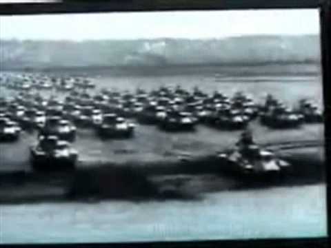 Lysergic Eye    Bob's Java Jive