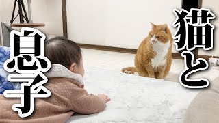 また例の箱を送って頂きました