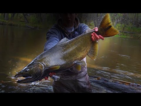 Centerpin Float Fishing for Michigan Salmon and Steelhead