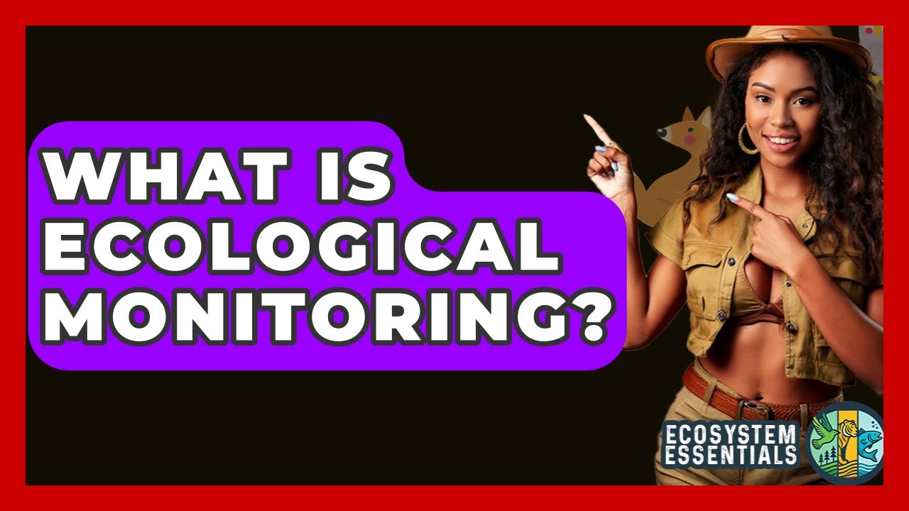 What Is Ecological Monitoring? - Ecosystem Essentials