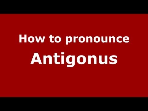 How to Pronounce Antigonus - PronounceNames.com