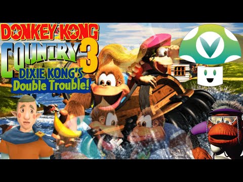 [Vinesauce] Vinny - Donkey Kong Country 3 Fan Highlights