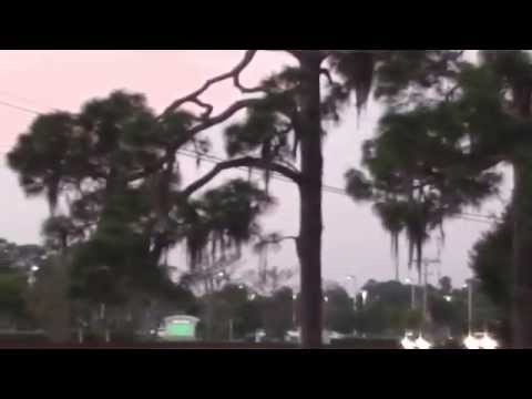 SWFL Eagles_Ozzie Checks Out The Roadside & Another Mating 11-6-14