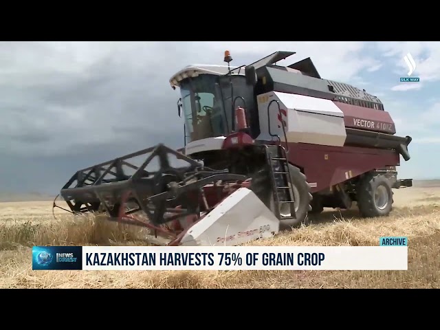 В Казахстане уже убрано 75% зерновых
