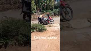 Download lagu kita pasti kembali ke alam mp3 Download lagu kita pasti kembali ke alam mp3