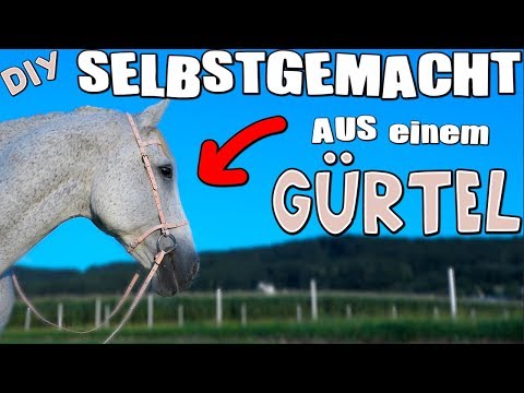 Behandlung des Kniegelenks in der Heimat von Bubnovsky Blähungen und Durchfall Müdigkeit Übelkeit Schmerzen im Rücken