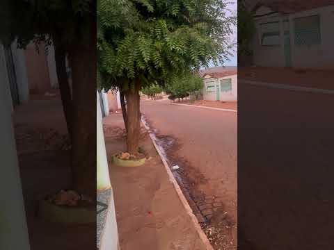 quem conhece essa rua de hirolandia uibai bahia #deustemumapalavrapravoce #caminhoparaumavidamelhor