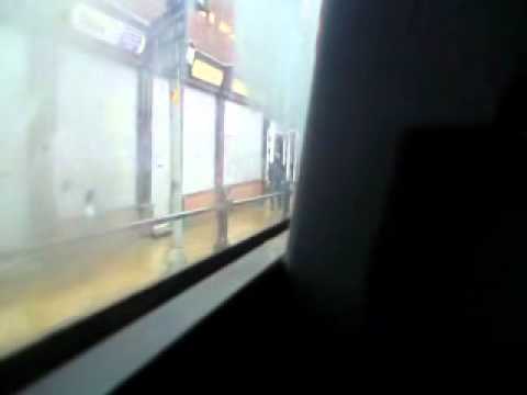 First Manchester 40436 P530LND