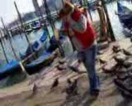 Funny- Scared of Pigeons