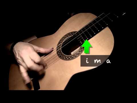 Rasgueado Exercise - 7b (Buleria - Moraito)