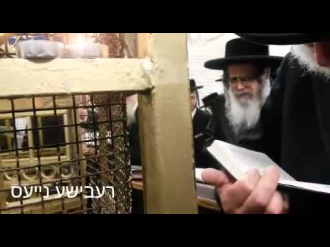 Satmar Mekomos Hakdoshim Nesiah in Europe Taamuz 5775 - At Tziyon Reb Elimelech M’Lizensk Zy”a