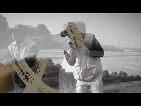 Ama Grootman- Moya ( official Lyrics Video)