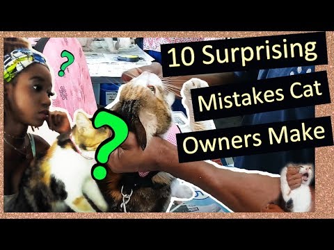 10 COMMON MISTAKES CAT OWNERS MAKE