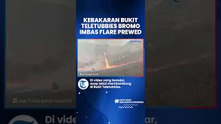Imbas Flare Foto Prewedding, Kebakaran Bukit Teletubbies Bromo Belum Padam, 50 Hektare Lahan Hangus