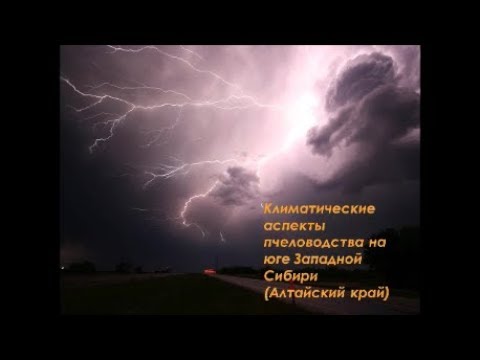 Климатические аспекты пчеловодства на юге Западной Сибири (Алтайский край).