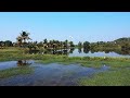 Experience The Tranquil Beauty Of Goa S Village Life
