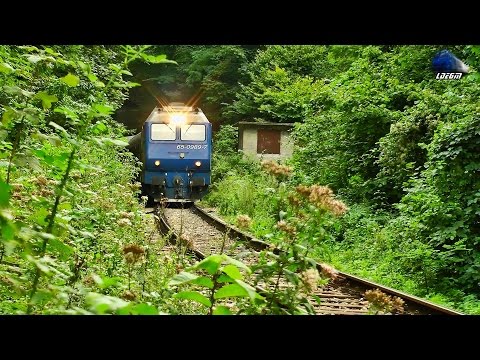 Trenuri in Muntii Apuseni - Trains in Apuseni Mountains - 20 August 2014